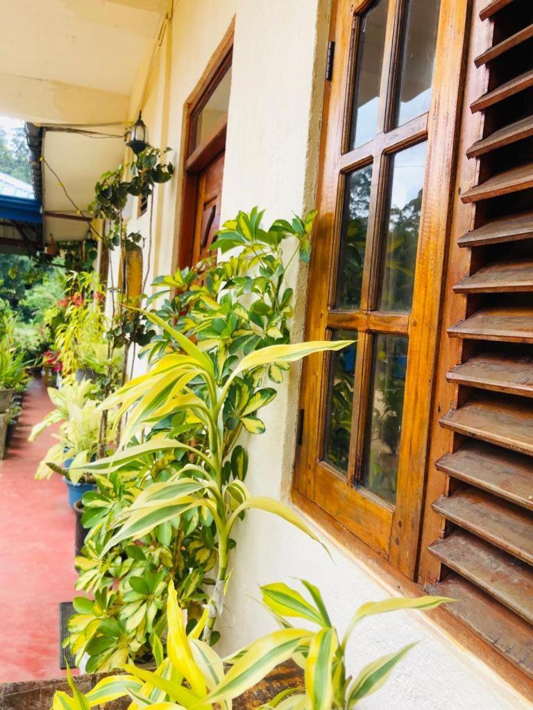 Vegetable Garden House Hotel Nallathanniya Exterior photo