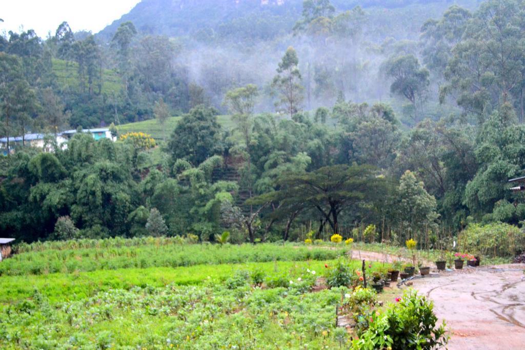 Vegetable Garden House Hotel Nallathanniya Exterior photo