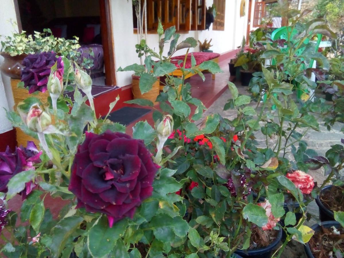 Vegetable Garden House Hotel Nallathanniya Exterior photo