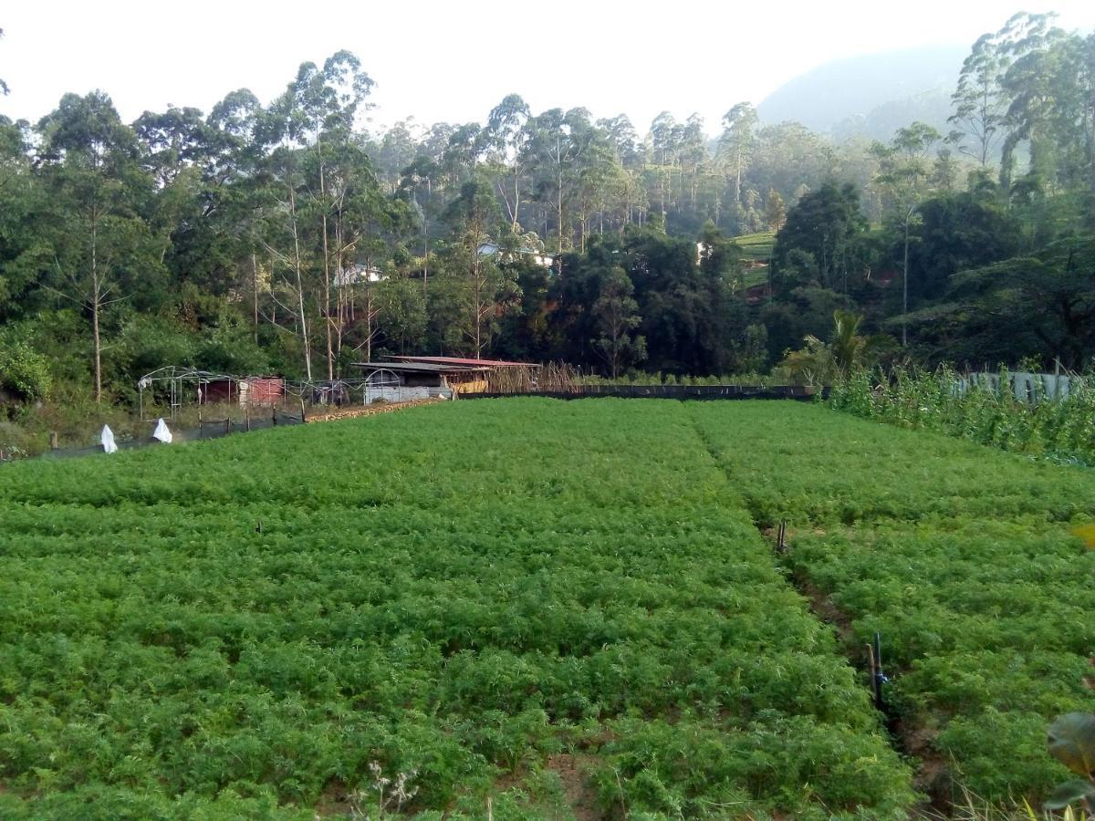 Vegetable Garden House Hotel Nallathanniya Exterior photo